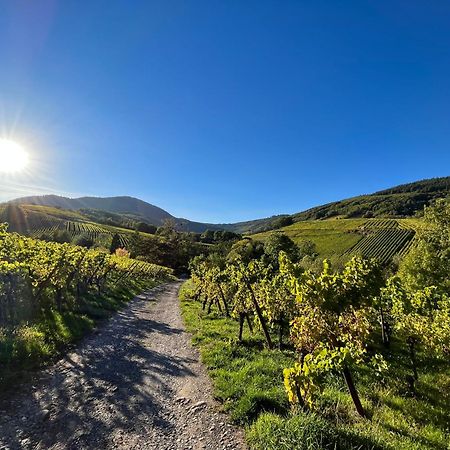 Chambre Du Vigneron - Domaine Leon Bleesz Reichsfeld ภายนอก รูปภาพ