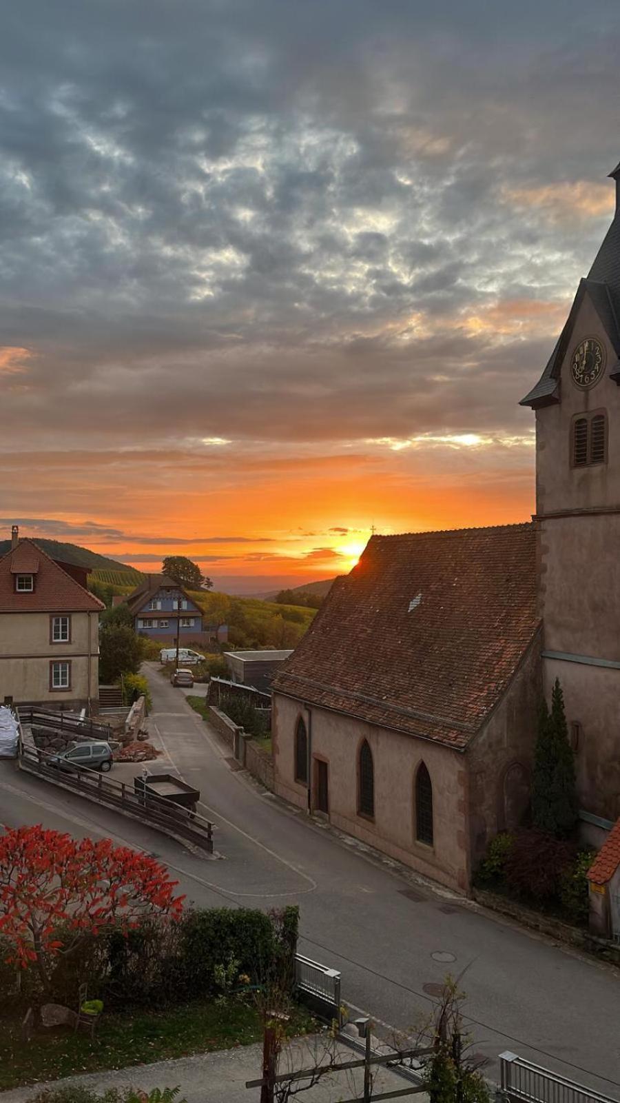 Chambre Du Vigneron - Domaine Leon Bleesz Reichsfeld ภายนอก รูปภาพ